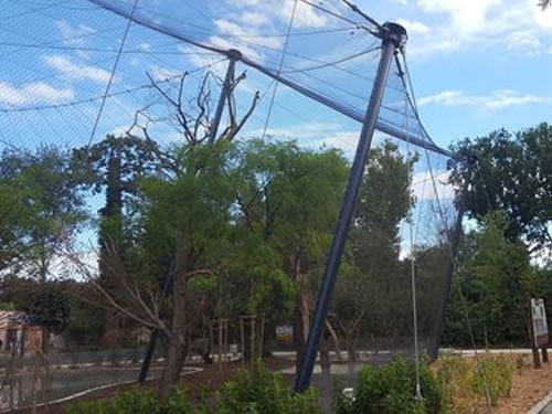 The Unsung Hero of Bird Havens: Why Aviary Netting Matters More Than You Think